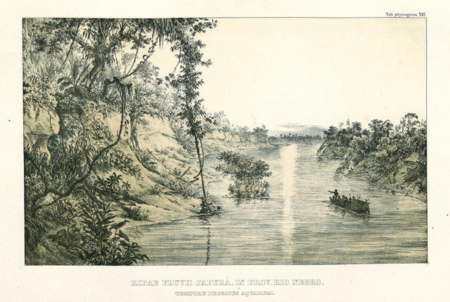 Recémlançado, “O som do rugido da onça” é livro em debate do Clube de Leitura SP Leituras Recémlançado, “O som do rugido da onça” é livro em debate do Clube de Leitura SP Leituras